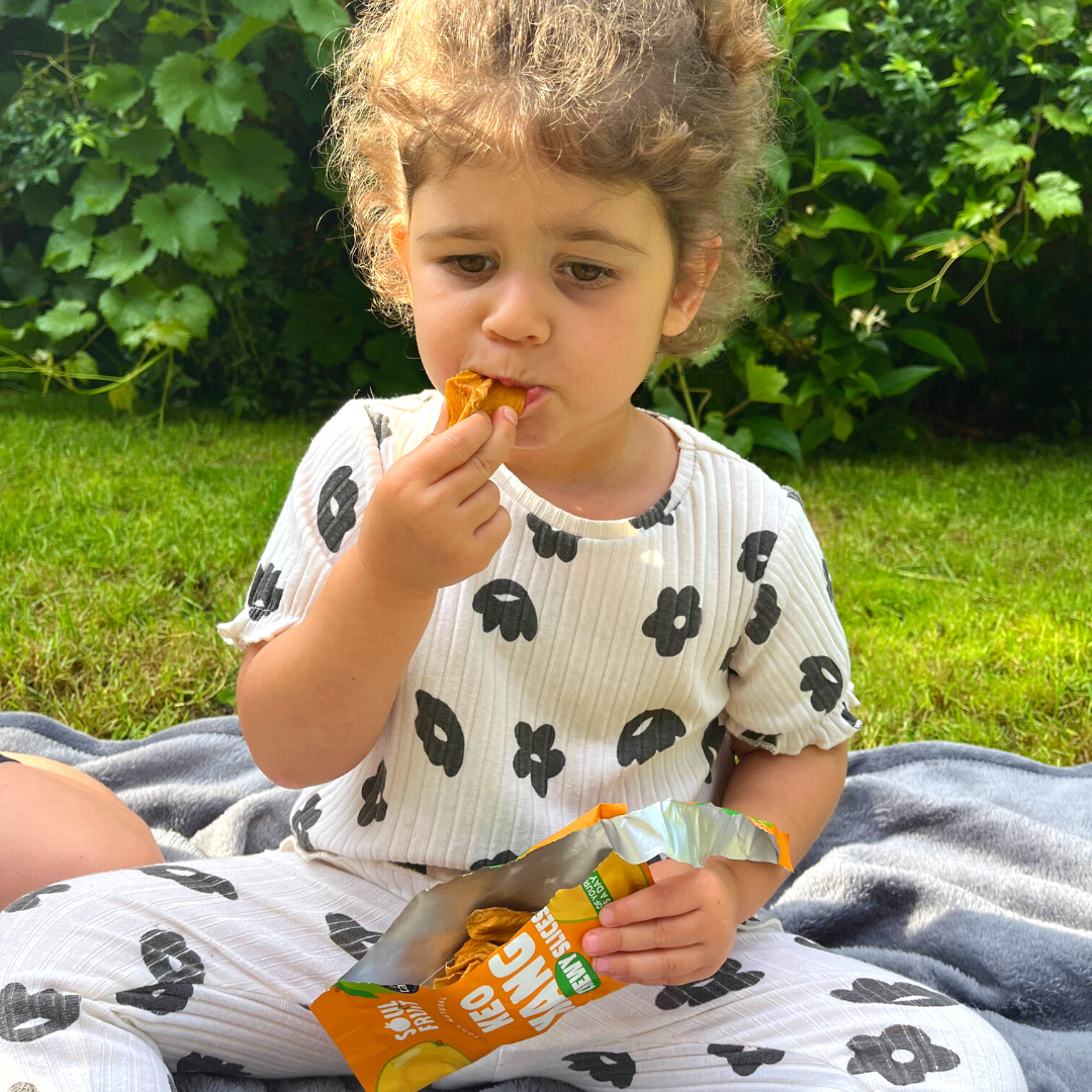 Soft Dried Keo Mango Slices (10 Bags)