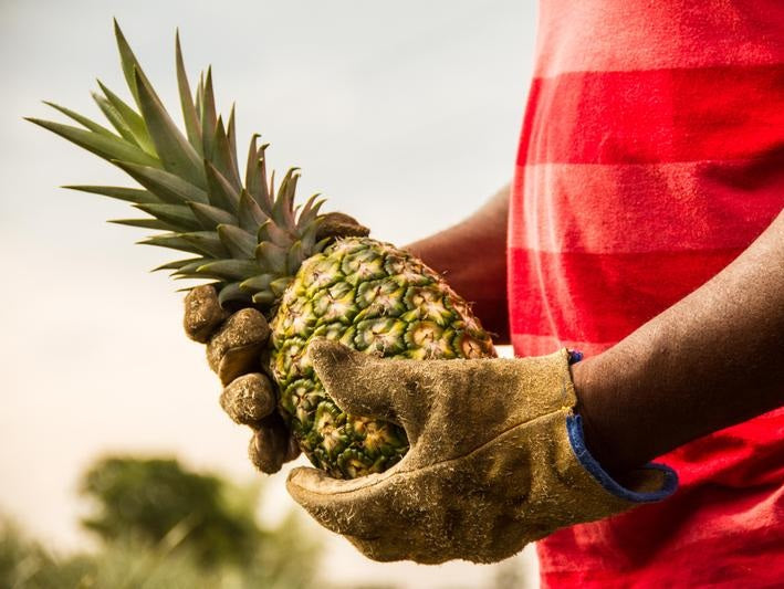 2GO! Organic Dried Fruit Variety Pack - Premium Healthy Snacks