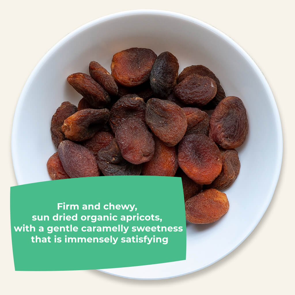 Tasting Bundle - Organic Dried Whole Apricots-2