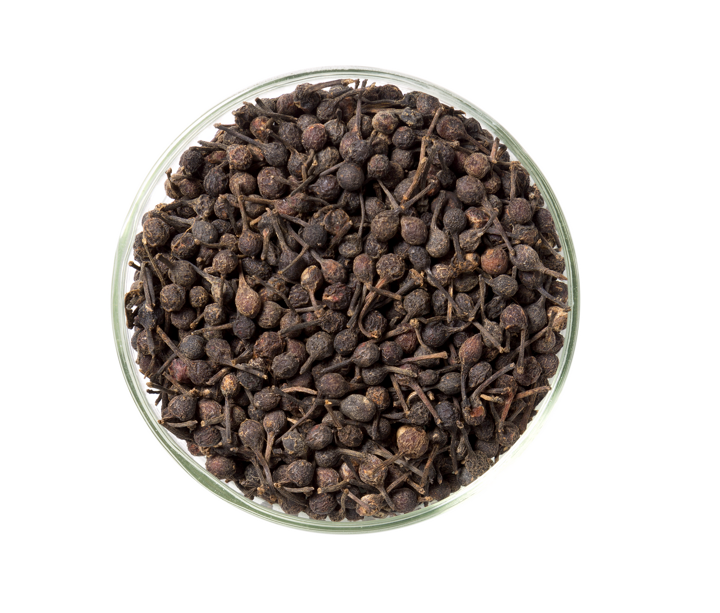 VOATSIPERIFERY pepper