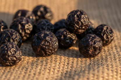Close-up macro of Tasmanian pepper berries