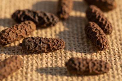 Close-up macro of Voatsiperifery pepper