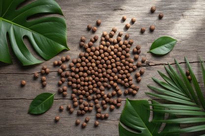 Overhead flat lay of Jamaican allspice