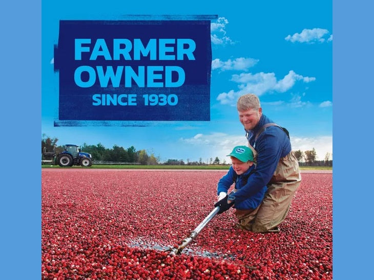 Ocean Spray Dried Cranberries Value Pack, 24oz.